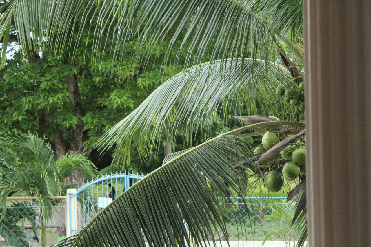 Maya Guest House - Sipaway Island San Carlos  Ngoại thất bức ảnh